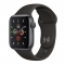 Smartwatch Apple Watch 5 40mm Gray Aluminium Case